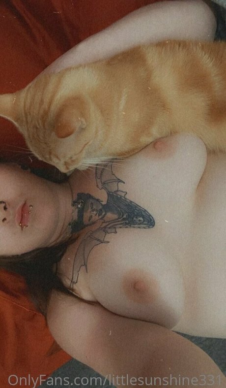 littlesunshine331 ポルノスター 写真