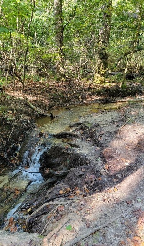 christymack 無料のスター ギャラリー