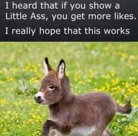 アジア人乱交オンリーファンズ 裸 画像