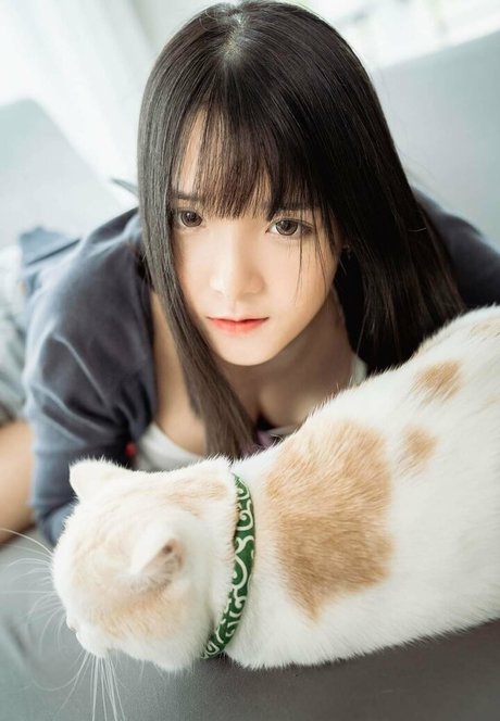 pikiichu ホットスター ギャラリー