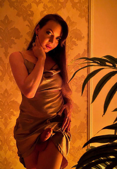 shemalekaterina 可愛いモデル 画像