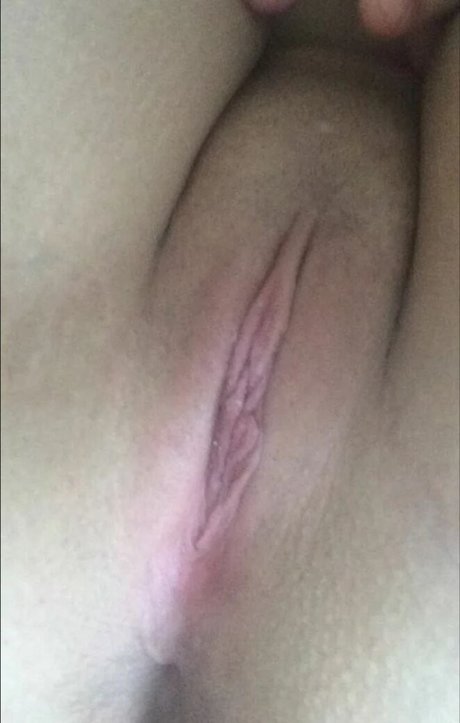 SleepyDinosaur xxxポルノスター アーカイブ