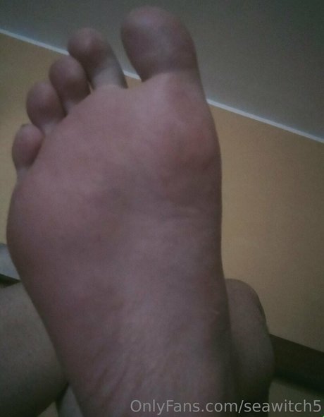 seawitch5 アートスター 写真