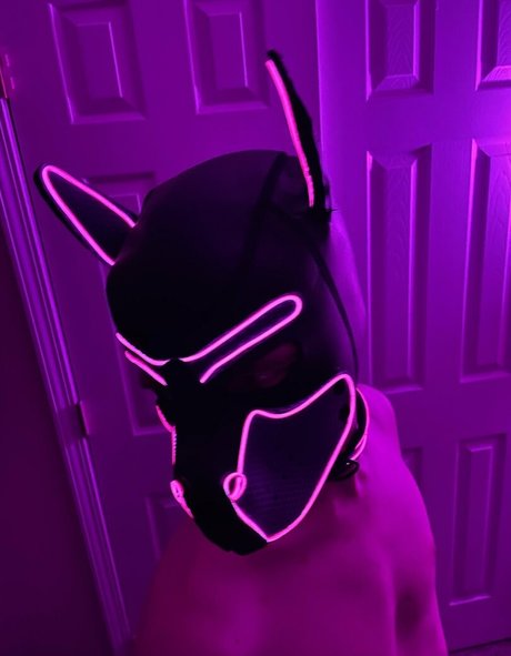 pup haze 裸のスター 写真