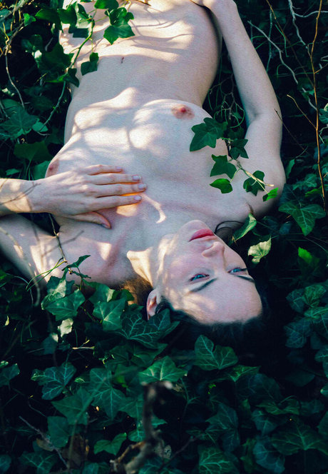 Pinheiro Alexandra xxxポルノスター 写真