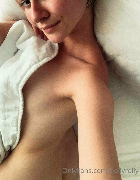 hollyrolly HDモデル 画像