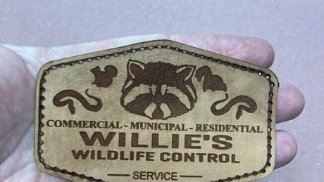 ricksangelsfree xxxモデル 写真