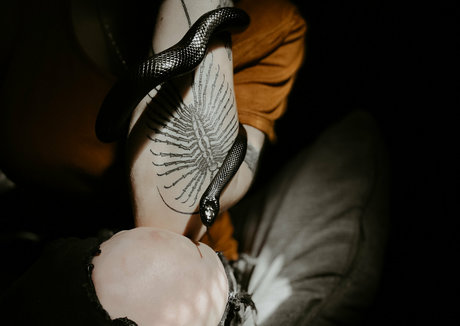 ぽっちゃりファックオンリーファンズ アート裸 画像