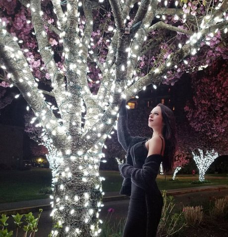 Madison Agnew ポルノスター ベスト 写真