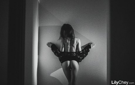 獣医オンリーファンズ パーフェクト 写真