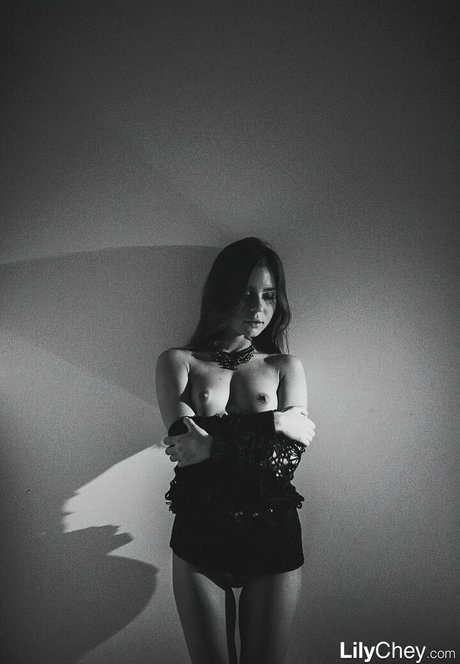 カウガール POV オンリーファンズ 無料裸 写真