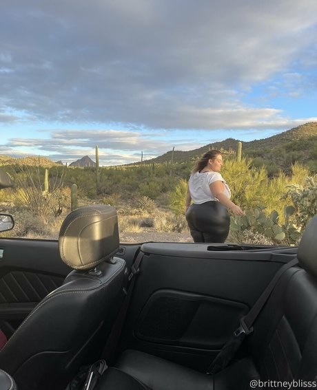 ダウンオンリーファン 無料ポルノ アーカイブ