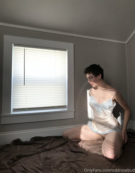 アメリカのオンリーファンズ セクシー裸 画像