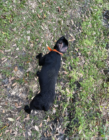 フィリピン人オンリーファンズ 無料ヌード 写真