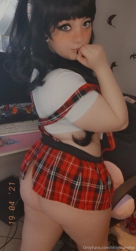 littlescarefox セクシーモデル ギャラリー