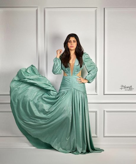 Ayten Amer スター ヌード ギャラリー