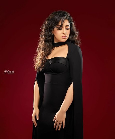 Ayten Amer スター ヌード 画像