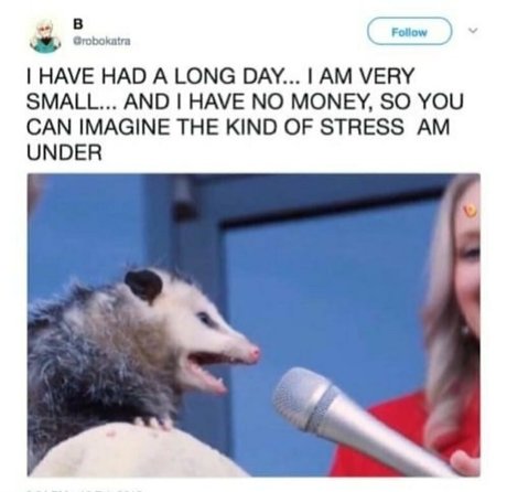 clumsiersquirrel 最高のモデル 写真