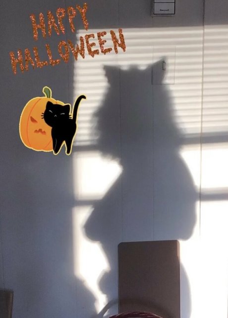 sarahtheslutfree xxxポルノスター 画像