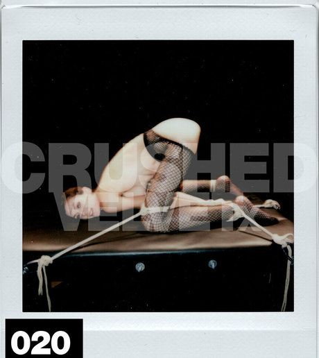 crushedvelvetx ポルノスター 美しい 写真