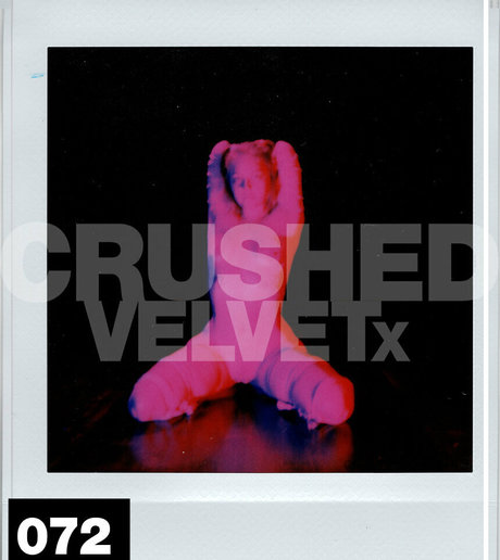crushedvelvetx セックススター 写真