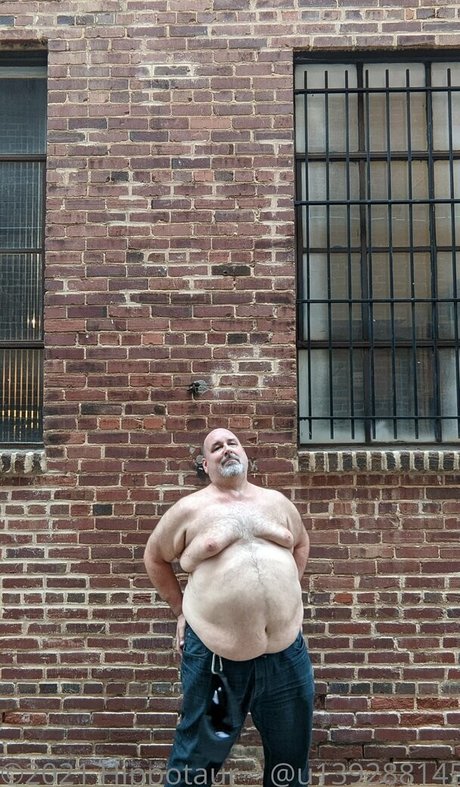 hippotaur 素敵なモデル ギャラリー