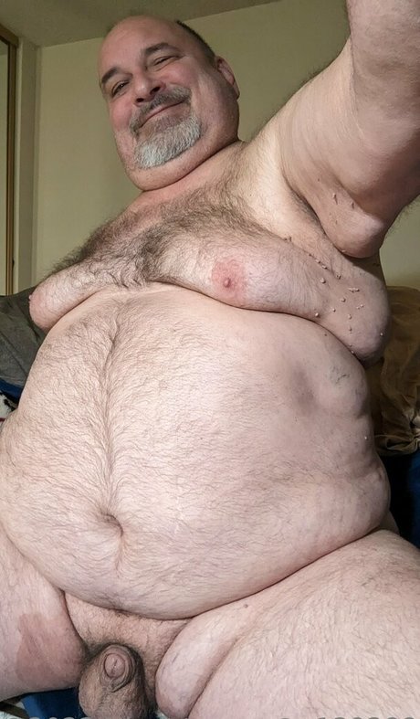 hippotaur 素敵なスター 写真