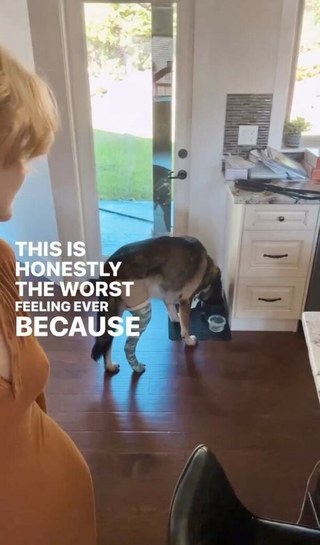 KallMeKris ホットスター ギャラリー