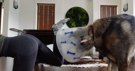 KallMeKris トップモデル ギャラリー