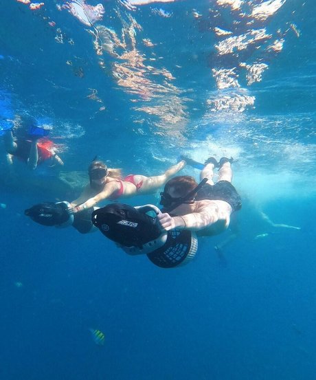 Brec Bassinger 美しいポルノスター 写真