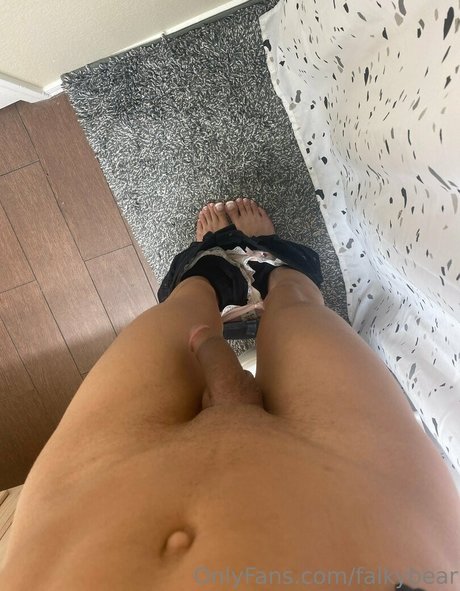 falkybear トップモデル 写真