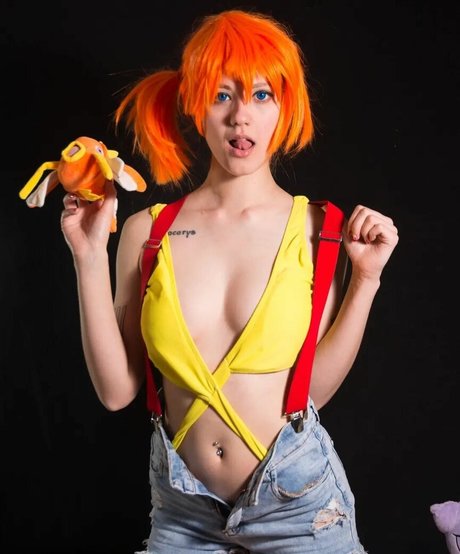 Sollchiss HDモデル 画像