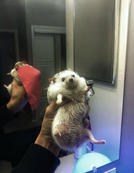 カムフィートオンリーファンズ ホットxxx アーカイブ