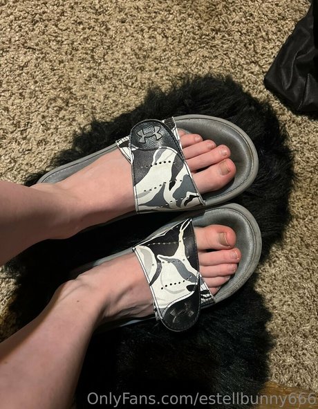 セーリングオンリーファンズ アート裸 ギャラリー