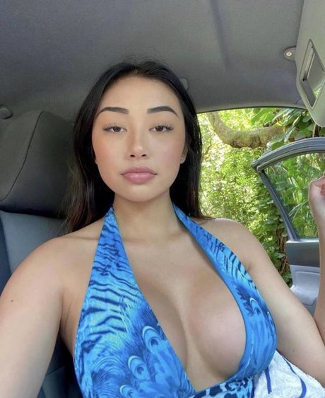 POVオンリーファン HD 写真