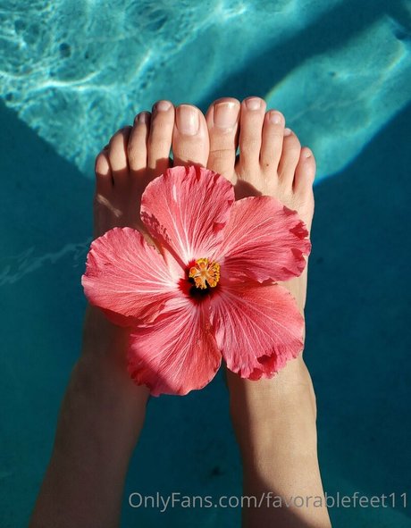 favorablefeet11 限定モデル 写真