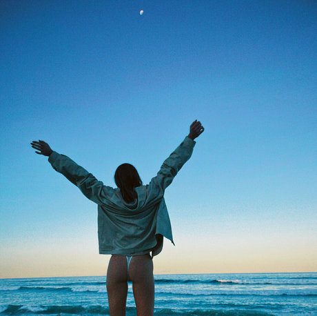 seasharkcensored 素敵なポルノスター ギャラリー