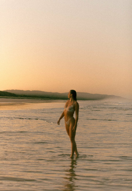 seasharkcensored ポルノスター 写真