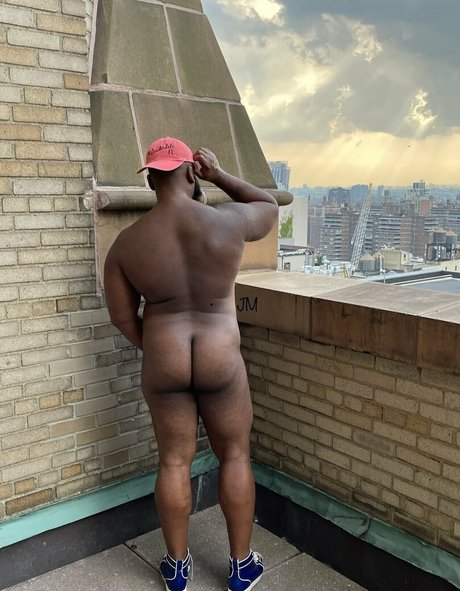 jodymuscle アートスター 写真