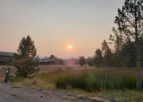 mccoywhatsername ヌードスター ギャラリー