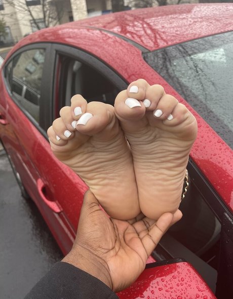 servingfet 高品質スター 写真