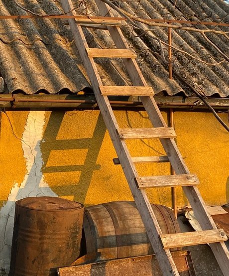 zhanna v トップ女優 ギャラリー