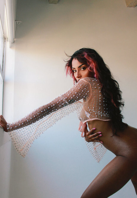 Devicartel トップ女優 写真