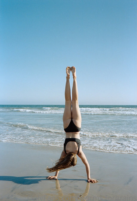 worms forbrains 素敵なスター 写真