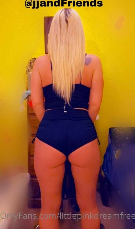 littlepinkdreamfree アートスター 写真