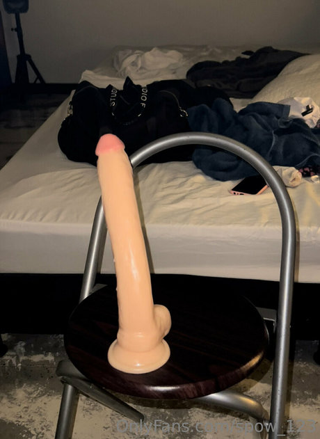 spow 123 アートスター 写真