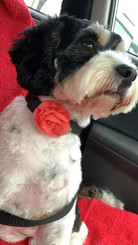 toniclust ヌードモデル 写真