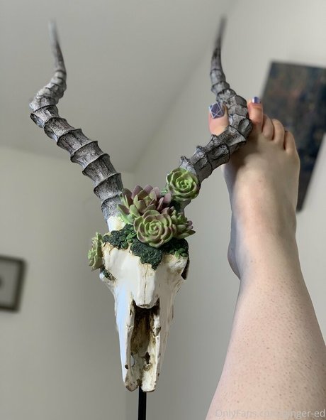 プッシーティーンオンリーファンズ HD 写真