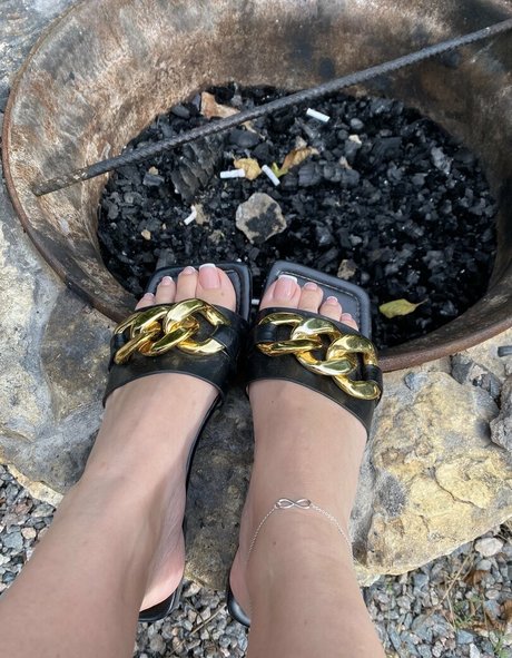 ワックスオンリーファン 素敵 写真