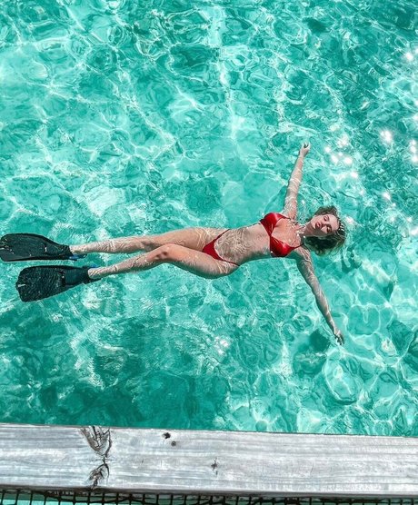 Angelica Kauer 限定スター ギャラリー